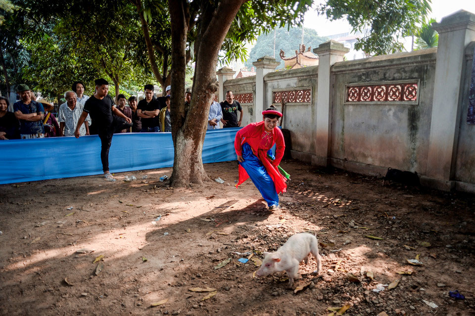 Thi nấu cơm, bắt lợn vui nhộn giữa thủ đô